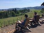 At Vidon Winery, visitors sip wine while looking out over fields of grapes in the Willamette Valley.