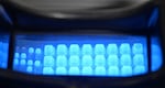 Surfrider volunteers add a solution to water samples that detects Enterococcus, a type of fecal bacteria, and the samples in an incubator for 24 hours before placing them under a black light to see how much if any bacteria was in the water. The bright glow means a high presence of bacteria.