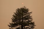 A pink sun is barely visible against a smoke-filled sky. The air quality in Portland, OR was ranked the worst of all major cities in the world due to smoke blowing in from several surrounding wildfires. Thursday, Sept. 10, 2020.