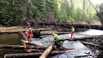 Biologists use pink and blue flagging tape to signal to the helicopter pilots where logs should be placed. There are 1,000 logs to be placed in the Little Naches River.
