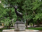 Elk, also known as the David P. Thompson Fountain, Elk Fountain, or the Thompson Elk, was a historic outdoor fountain and bronze sculpture by American artist Roland Hinton Perry. It was removed from downtown in July 2020, after sustaining damage from fires lit by people protesting the murder of George Floyd.