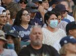 A person in the stands wears a mask before Dr. Anthony Fauci threw out the first pitch, at a baseball game between the Seattle Mariners and the New York Yankees, Tuesday, Aug. 9, 2022, in Seattle. Fauci is President Joe Biden's chief medical adviser and director of the National Institute of Allergy and Infectious Diseases.