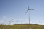 A wind turbine with one of its blades painted black stands across a grassy field near Glenrock, Wyo. Researchers hope the black blade will help birds see it better and avoid injury or death.