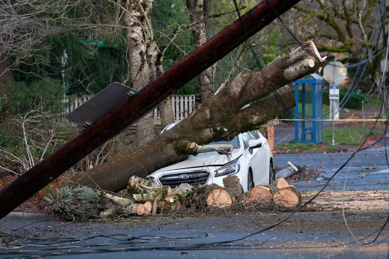 A car is crushed by a fallen tree on Northeast 24th Avenue on Wednesday, Dec. 17., 2025 in Portland.