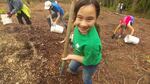 Volunteers young and old pitched in to help plant 2 million trees and shrubs in one year.