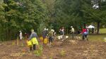 Volunteers planted 1100 shrubs and trees in one morning at Murrayhill Park in Beaverton.