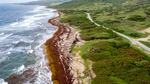 Lakes Beach is covered in sargassum in St. Andrew along the east coast of Barbados on July 27.