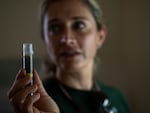 Tania Hernandez, Ph.D. shows a baby saguaro cactus in her office at the Desert Botanical Garden in Phoenix, Arizona on Friday, June 28, 2024. Dr. Hernandez is a New World Succulents Cactus scientist and launched the Saguaro Cactus Census in 2020. Her projects aim to preserve biodiversity of Saguaros across the Sonoran Desert.