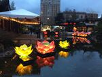 Lan Su Chinese Garden lights up at dusk during the Chinese New Year celebrations.