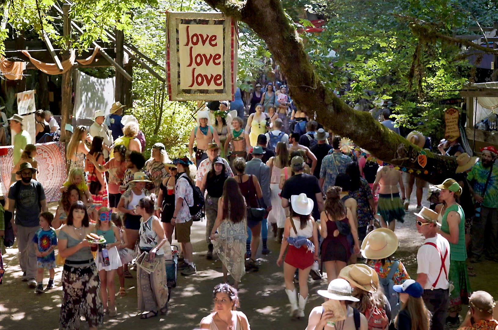 A banner proclaiming the “love” ethos of the Oregon Country Fair hangs from a tree limb in July 2024. Though the large limb protrudes into the pathway, the fair works around it. “In anything we're doing, what we have to do is ask, ‘Am I expressing reverence for the land?’” said VegManEC volunteer Glenn Gregorio.