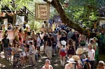 A banner proclaiming the “love” ethos of the Oregon Country Fair hangs from a tree limb in July 2024. Though the large limb protrudes into the pathway, the fair works around it. “In anything we're doing, what we have to do is ask, ‘Am I expressing reverence for the land?’” said VegManEC volunteer Glenn Gregorio.