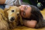 A Linfield College student snuggles a therapy dog during a recent exam week. Linfield administrators said the success of such visiting animals encouraged them to allow family pets in one residence hall, starting in fall 2019.