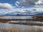 Lower Klamath National Wildlife Refuge in the daytime.