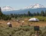 Umbrellas give plein-air painters competing in Indian Ford Meadow a little shade.