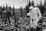 Walter Cunningham training in Central Oregon, 1964.