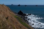 FILE - A person looks out at the Pacific Ocean after stopping along U.S. Route 101, also known as the Oregon Coast Highway, on June 15, 2024, in Southern Oregon near Port Orford in southern Oregon.