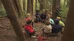 
Erin Kenny started Cedarsong Nature School in 2006 in hopes of helping children develop lifelong bonds with the natural world. 