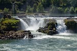 A scenic portrait of the Willamette Falls in Oregon.