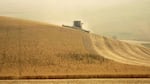 Lee Heimgartner is harvesting chickpeas near Kendrick, Idaho. Until this past spring, farmers along the Washington-Idaho border shipped beans and peas in containers to the Port of Portland. But with Portland's containers service now gone, farmers in this region are paying more to get goods to market.