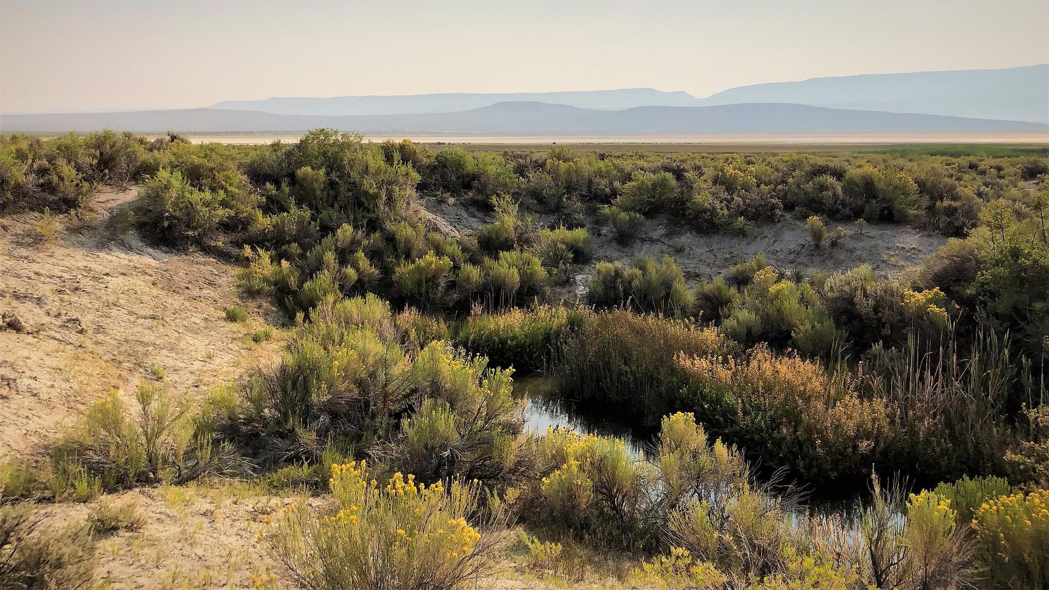 An undated file photo of Bureau of Land Management lands in Lake County.
