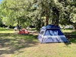 Tents in Grants Pass's Riverside Park in May 2024.