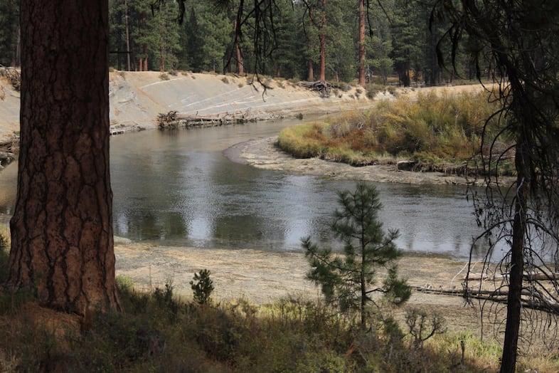 Water flows coming out of Wickiup Dam on the Upper Deschutes vary wildly between summer and winter. That causes cut banks and erosion along the river banks, as well as damaging habitat for frogs, fish, and wildlife.