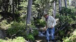 Hydrologist John Rhodes examines the fine sediment in Still Creek. Rhodes believes the construction of mountain bike trails at Timberline will futher impair Still Creek. 