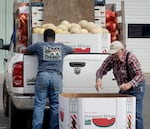 A young man in a t-shirt and jeans has his back to the camera as he loads up fruit into the bed of a white pick-up truck already full of produce. He's being helped by an older man in a long sleeve shirt who's reaching into a box for more watermelon.