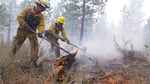 During mop-up, small groups of firefighters ensure logs and stumps are extinguished.