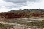 Thousands are expected to come to Wheeler County due to its wide vistas, sunny skies and natural wonders like the nearby Painted Hills. Consequently, the U.S. Forest Service and other government agencies are struggling with many of the issues confronting small towns like Spray.