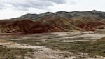 Thousands are expected to come to Wheeler County due to its wide vistas, sunny skies and natural wonders like the nearby Painted Hills. Consequently, the U.S. Forest Service and other government agencies are struggling with many of the issues confronting small towns like Spray.