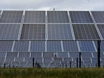Solar panels in Detroit on Nov. 16, 2022.