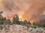 Dark smoke and the light from a fire are visible from behind evergreen trees and shrublands.