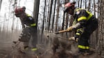 French firefighters work among trees north of the city of Chibougamau in Quebec in early June. France, the U.S., Mexico and other countries have sent firefighters to Canada to help battle unprecedented wildfires.