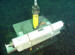 A spider crab inspects an ocean-bottom hydrophone (OBH) as it sits on the seafloor at Axial Seamount before the 2011 eruption. The OBH is a monitoring instrument designed to detect undersea earthquakes.
