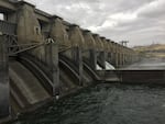 Fish advocates say sending water through spill bays is the best way to ensure fish survival through dams in the Columbia and Snake rivers.