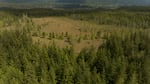 Crowberry Bog is a rare raised bog on Washington's Olympic Peninsula, shown here in an aerial video still taken in July 2024.