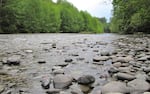 The Dungeness River relies heavily on snowmelt from the Olympic Mountains to provide water for more than 6,000 acres of farms in the northern part of the Olympic Peninsula near Sequim, Washington. In May, flows in the river were less than half of normal.