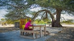 Stepping under the shade of a tree, and out of the sun, lowers your body temperature. A teenage girl does her school work under a tree while watching over a shop selling necessities.