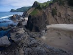 Part of the Cascade Head UNESCO Biosphere region on June 8, 2019