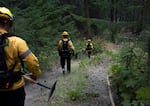 A firefighting crew descends into a forested canyon near the unincorporated community of Friend in Wasco County, Ore., on Aug. 14, 2026. The Grasshopper Fire destroyed at least 20 structures and six homes as of Thursday, Aug. 13.