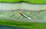 A syringe in a tent in downtown Portland. Facing an escalating addiction crisis, Oregon lawmakers are considering new laws to help crack down on drug trafficking.  