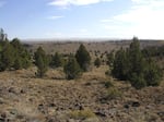  Before the habitat restoration work South Warner Mountain Project area near Adel, Oregon. 