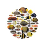 Tropical Fish Mosaic - Worldwide