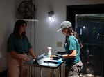 Abby Roeser (left) and Lani Yoo (right), of The Turtle Conservancy, weigh and inspect the confiscated turtles they’ve taken in daily to make sure they’re recovering from disease and malnutrition.