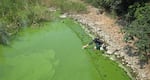Researchers take samples from Lake Taihu in China, when it was heavily contaminated with toxic algal blooms.