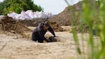 An archaeologists excavates a Viking Age pit house in Aarhus, Denmark, on June 22, 2026.