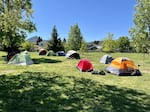 Tents in Fruitdale Park in Grants Pass in May 2024.