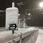 The snowfalls on Tilikum Crossing. 