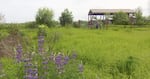 Ron Spendal has set up dozens of bee boxes, such as these at Jackson Bottom Wetlands Preserve.